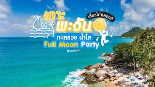 เกาะพะงัน ทะเลสวย น้ำใส ฟูลมูนปาร์ตี้ เที่ยวได้ตลอดปี | Bugaboo Travel | Ep.158