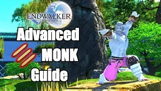 [FFXIV] Advanced Endwalker Monk Guide