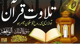 Surah Ar-Rahman, Al-Mulk, Al-Waqiah l compiled Beautiful Quran Tilawat l #muflehon