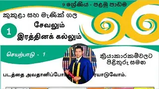 දෙවන බස දෙමළ, 9 ශ්‍රේණිය, 1 වන පාඩම (නව සංස්කරණය) - සියලුම ක්‍රියාකාරකම්වලට පිළිතුරු සමග