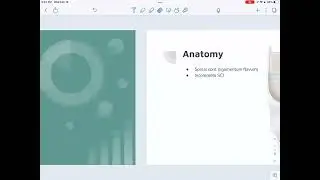 Central Cord Syndrome - NPTE Prep