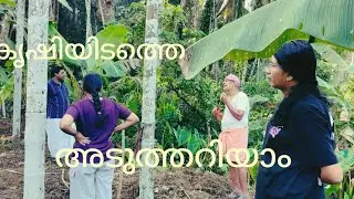 Winter vegetable farming #farm preparation #getting to know the farm #turning #youtubevideo #prem...