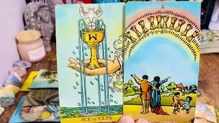 ❤️ Scorpio Next 24 HRS: This LOVER Wants You Back Scorpio! The Message Says It All ✨