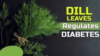 Amazing Health Benefits Of Dill Leaves | Nature Cure Fit