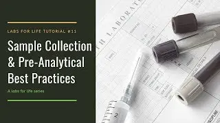 Ch 4.5 Sample Collection: Capillary Blood Collection
