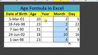 Calculate Age using Datedif Formula in Excel in Hindi