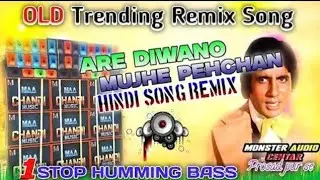 Are_diwano_mujhe_pehchana__Ratha_yatra_hindi_humming_1_steps_pop_bass_blaster_mix_2025_-_dj_Ru_remix