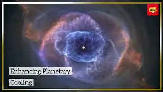 How do comets influence planetary evolution