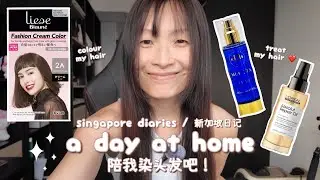 singapore diaries 🇸🇬 a day at home ♡ colour my hair with me  | 新加坡宅在家里的一天