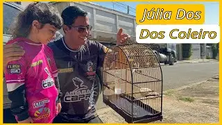 MEU PRIMEIRO PASSARINHO CANÁRIO DO REINO