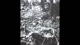 Falls of Rauros - Revisitation (Full Album)