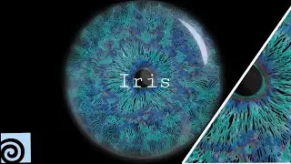 Create Iris in Houdini