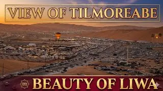 UAE Desert Racers & Tours&ndash; Tel Morab | UAE Sand Racing#motorsport #liwadesert #youtubeshorts