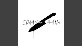 I Didn't Mean To Hurt You