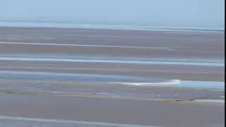 Small bore on Silverdale shore