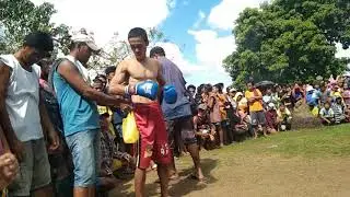 knock out punch 🥊#1 boxing sa bukid