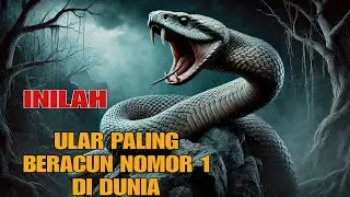 FAKTA MENGERIKAN: Ular paling beracun di Dunia - Ular inland taipan