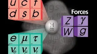 Fundamental Model of Particle Physics Explained Urdu/Hindi