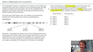 Examentraining vwo bio | 3 | Onderzoek naar aneurysma&rsquo;s | 2016-1 | vr. 15 t/m 22