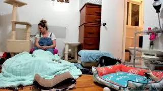 Foster Mom Sarah visits the kittens & we chat about movies