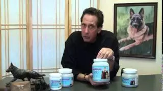Warren Eckstein explains Hugs & Kisses Vitamins for Dogs & Cats