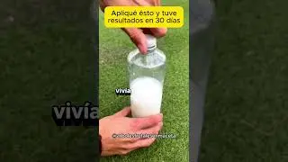 &iexcl;Deja de usar abonos y descubre el secreto del crecimiento natural de tus plantas en maceta!
