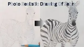 How to Draw Realistic Zebras: Complete Step-by-Step Guide
