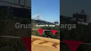 Barco  de carga Savannah ga