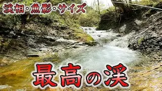 【渓流釣り】新規開拓で最高の渓をみつけた！