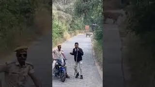 Tiger Block Ranthambore Fort Road : Ranthambore National Park