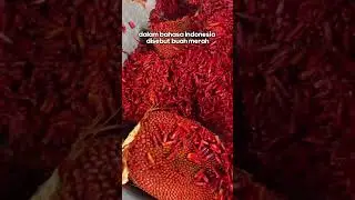 Buah endemik papua banyak manfaat !! #mahakamagro