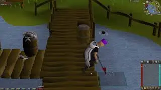 (OSRS) Loot From Catching Raw Shark