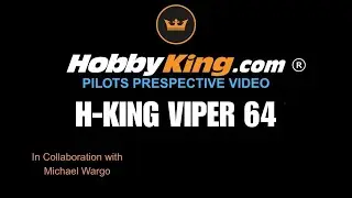 Hobbyking Pilot Perspective - H-King (PNF) Viper 64 (6S) EDF Jet (1000mm) #hobbyking