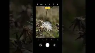 mobile micro photography ideas 📱🌷🤔🤷#photography #photographer #mobilephotography