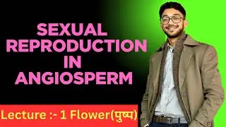 Sexual Reproduction in Angiosperm | Cell To Soul #bio #reproduction