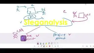 stegano=steganalysis=1