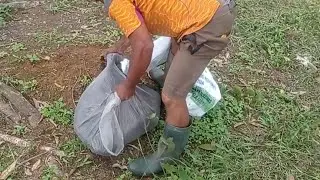 Pupuk Organik ECOSOPHY 