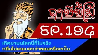 ฤๅษีขี้โม้ EP 194 เกิดมาบนโลกนี้ที่ไม่จริง, กลิ่นไม่เคยบอกว่าหอมหรือเหม็น