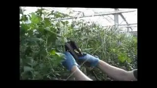 AgriFast Tom-System from LS Systems Limited