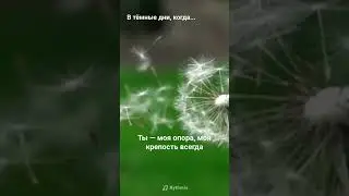 Ты рядом Господь ты не оставишь #музыка #lifesongs #песньвозрождения #song 