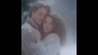 Счастья в новом году.