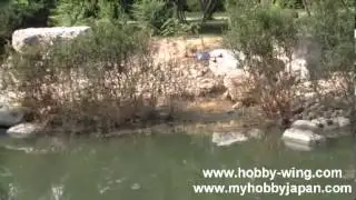 Walkera Hoten-X Qoadcopter Flight Test