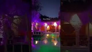 most beautiful cafe n restaurant in pune #pune #punecity #punekar #cafe #punefood #restaurant #food