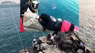 구조라 감성돔 될놈될!(feat.포세이돈)