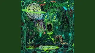 Faces Imploding (Instrumental)