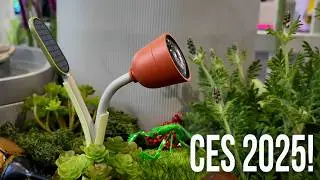 Bird Buddy's Wonder System adorably records butterflies #ces2025