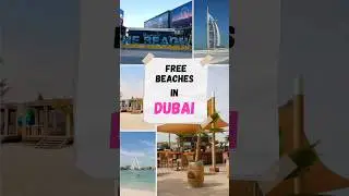 Free Beaches In Dubai #shorts #dubai #beach