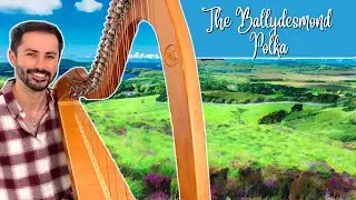 The Ballydesmond Polka - IRISH POLKA