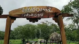 Kebun teh Wonosari #malanghits #panoramamalang #ngalamkipa