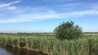 Out on a boat on the Norfolk Broads.